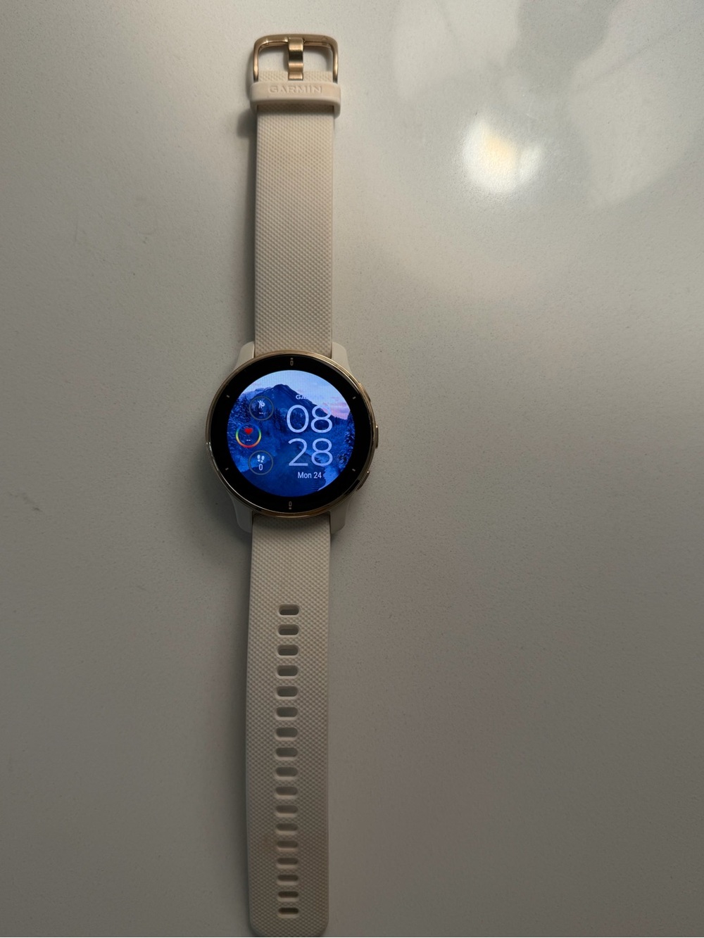 Garmin Venu 2plus Smartwatch - White with Gold Bezel